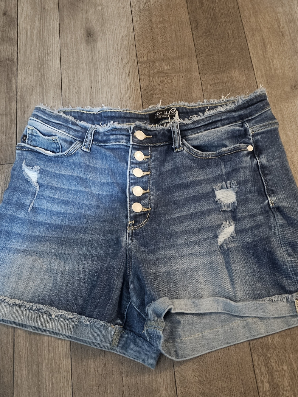 Judy Blue Light Wash Frayed Waistband Denim Shorts